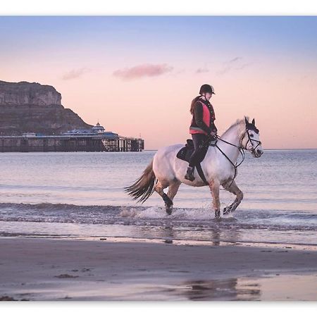 Superb Cintra Beachside Apartments Llandudno Esterno foto