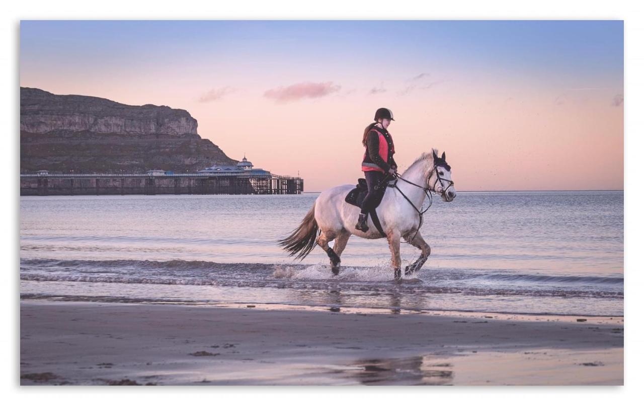 Superb Cintra Beachside Apartments Llandudno Esterno foto